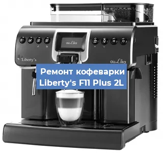 Замена прокладок на кофемашине Liberty's F11 Plus 2L в Ростове-на-Дону